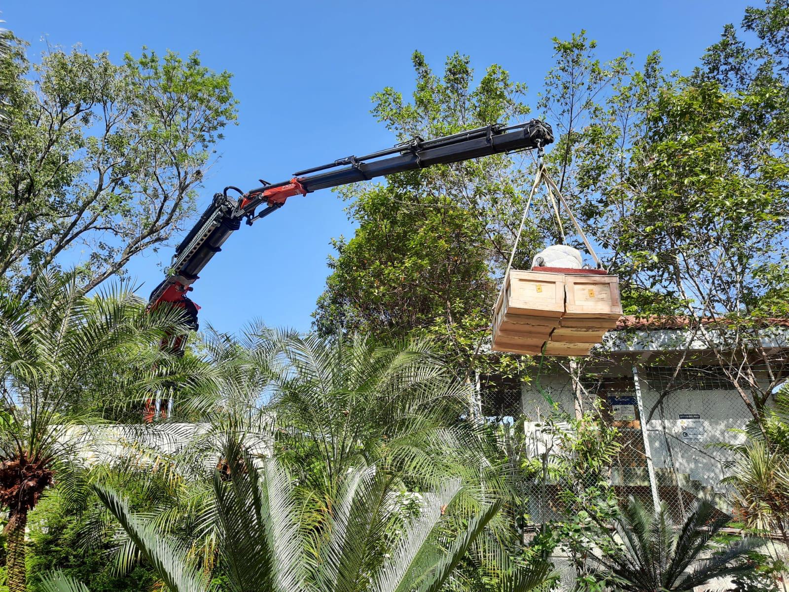 Crate being hoisted over the bungalow