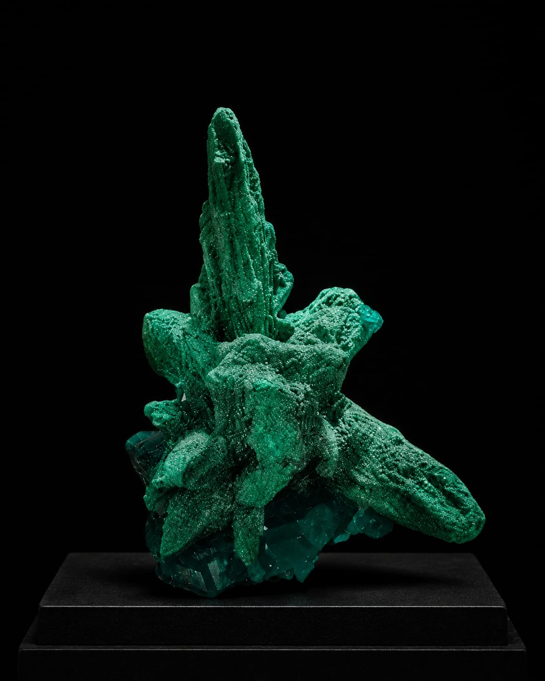 Malachite pseudomorph after Azurite on Dioptase, DR Congo — P&L Art and Crystals Singapore