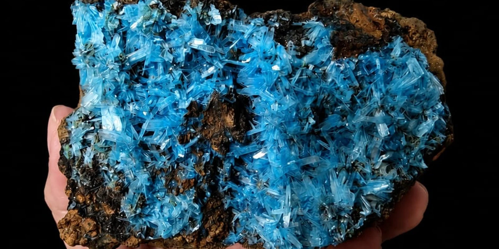 The Blue That Was Dyed On