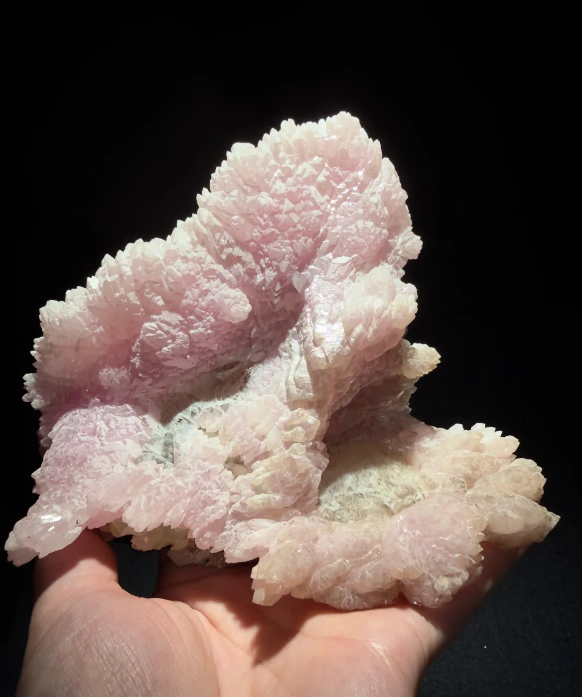 Euhedral pink quartz from the P&L collection. Unlike the massive material, this one carries its own crystal faces, and its colour sits in the quartz lattice rather than in included fibres.